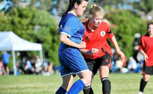 Soccer semi-final Coffs Coast Tigers defeated Maclean Bobcats 1-0. Soccer semi-final Coffs Coast Tigers defeated Maclean Bobcats 1-0.